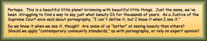 Victor Gallis discusses beauty.